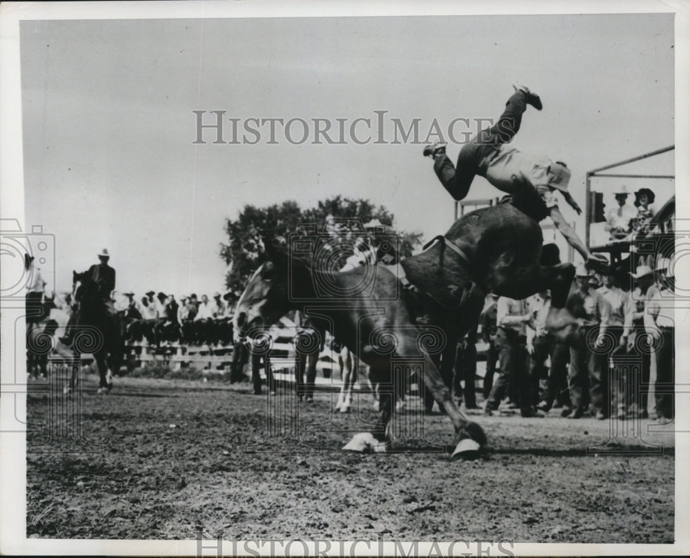 1947 Press Photo &quot;Who&#39;s Spankin&#39; Who&quot; Won Honor Award Non Professional Class-Historic Images