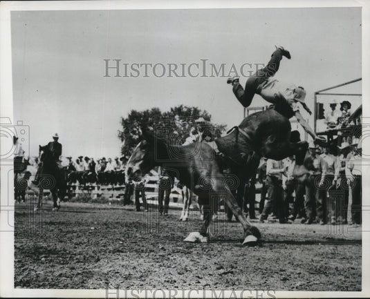 1947 Press Photo "Who's Spankin' Who" Won Honor Award Non Professional Class-Historic Images