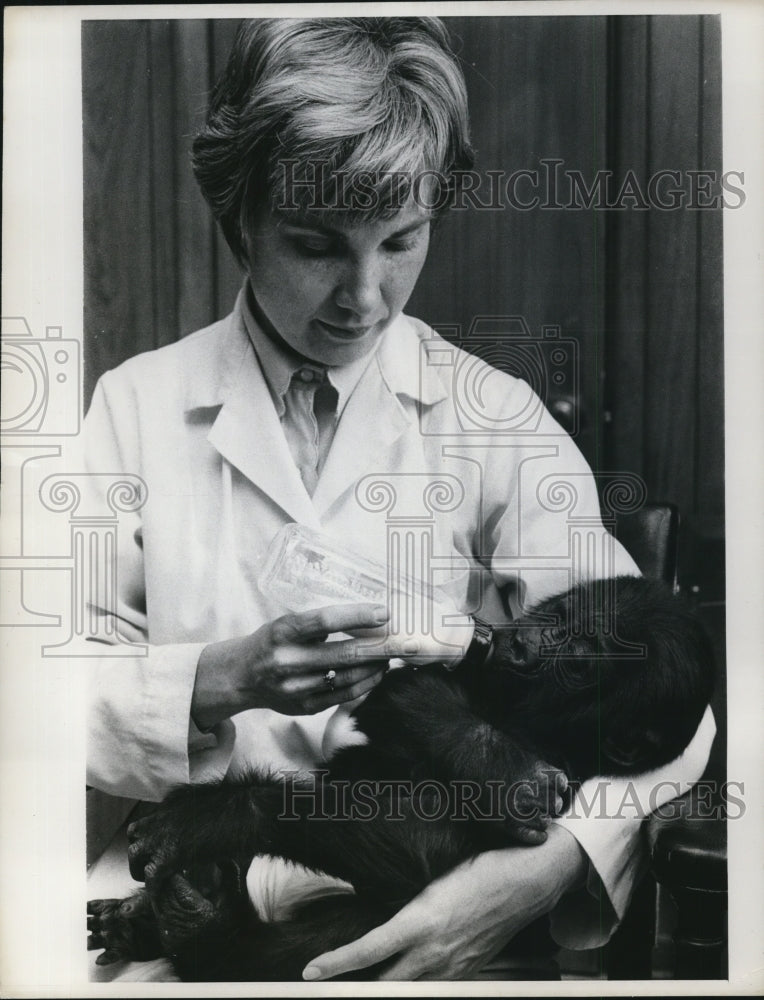 1969 Mrs Jan Davis Feeding Tiffany Gorilla Baby Formula  - Historic Images