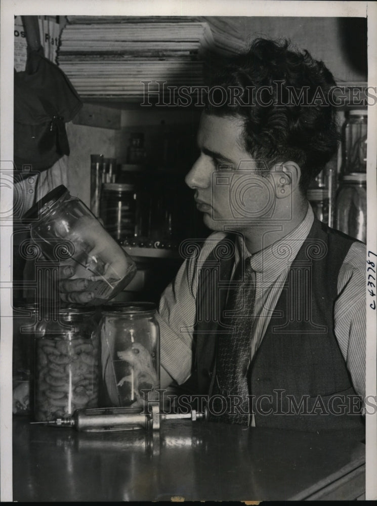 1938 Press Photo Samuel Saikin of Chicago collecting and preserve snake and frog-Historic Images