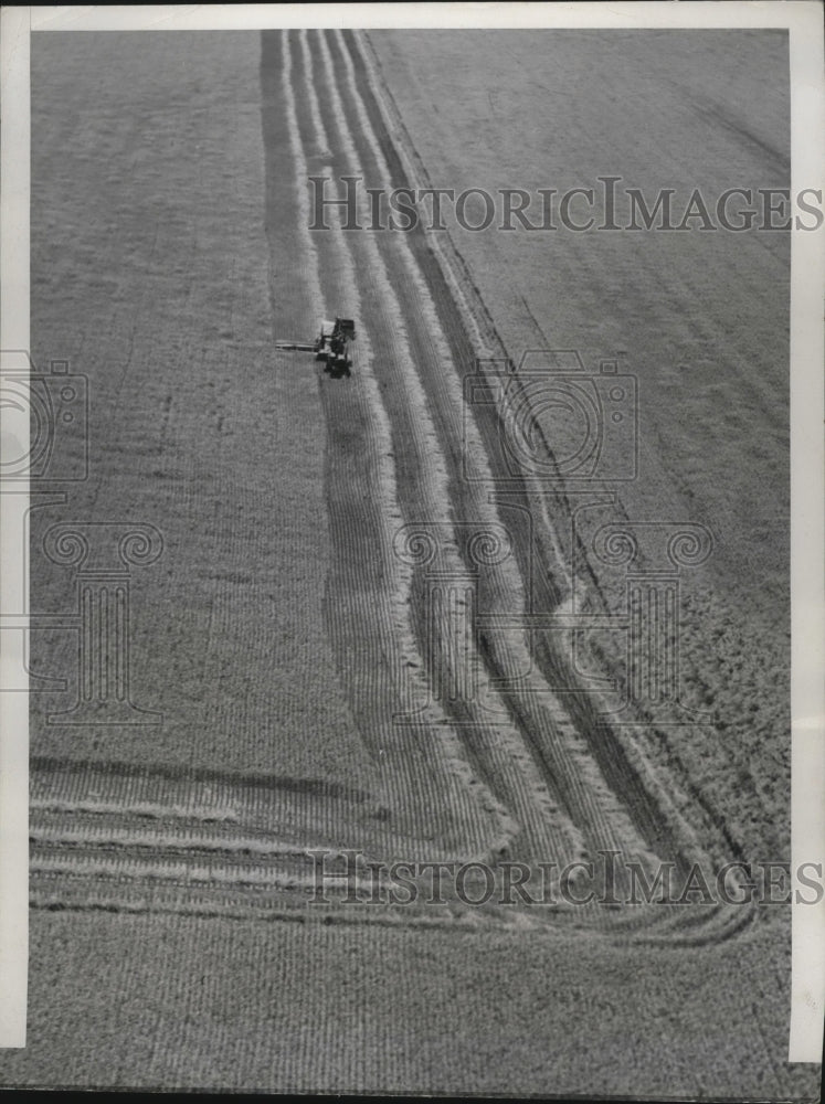 1947 Press Photo Wheat Field Being Harvested in Schoenchen Kansas - ney16494-Historic Images