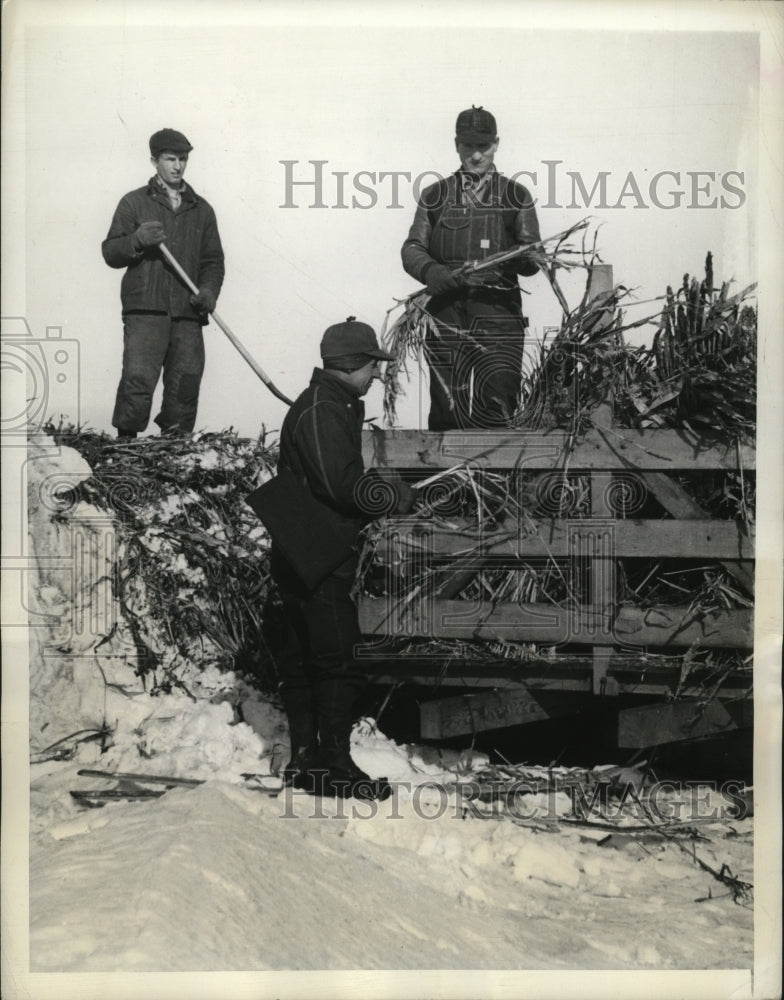 1943 Press Photo Farm Courier on Skis Asks Farmers for Greater Flax Production-Historic Images