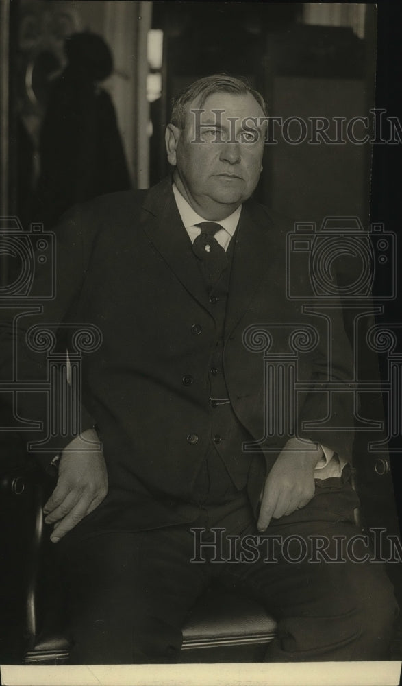 1925 Harlan Fiske Stone  - Historic Images