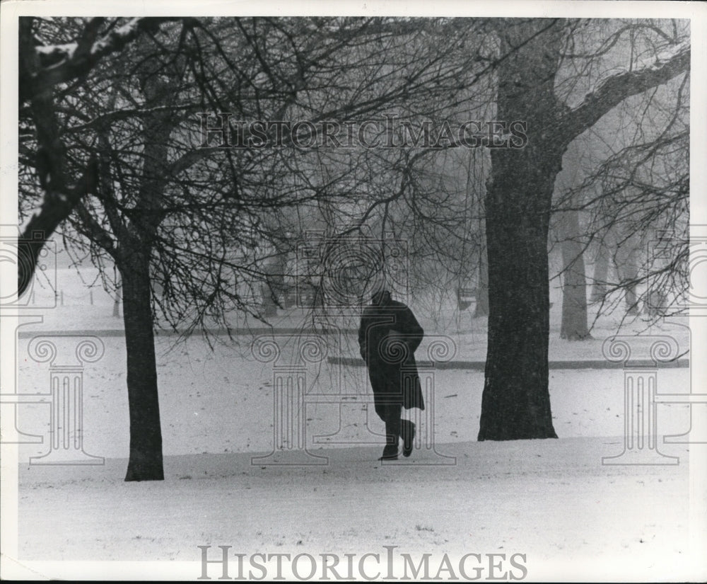 1978 Press Photo Person Walking in Snow - Historic Images