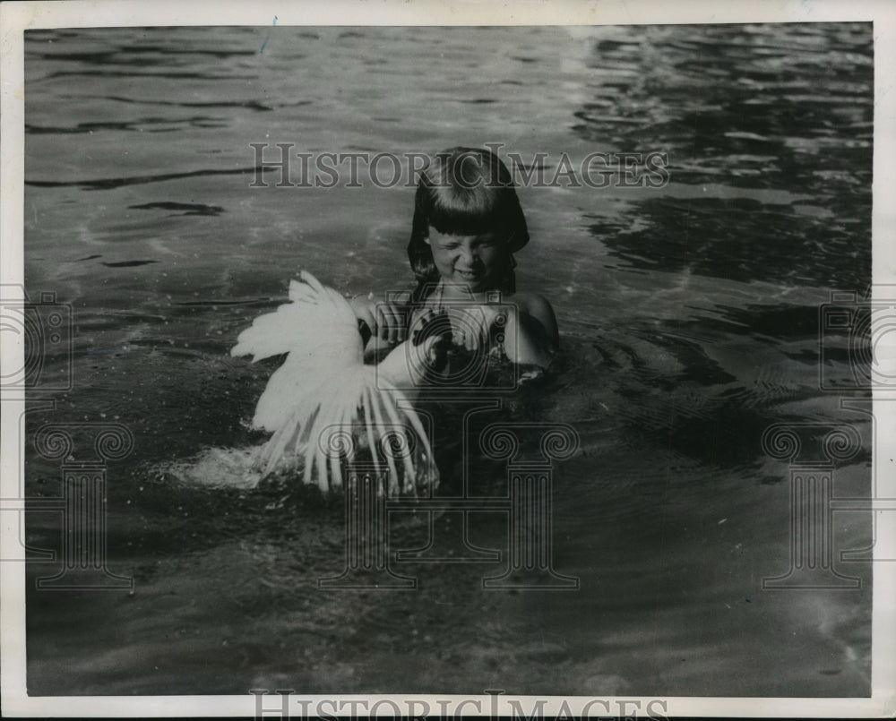 1951 Overcoming its Aversion Rooster Joins Jean Hess in Her Pool - Historic Images