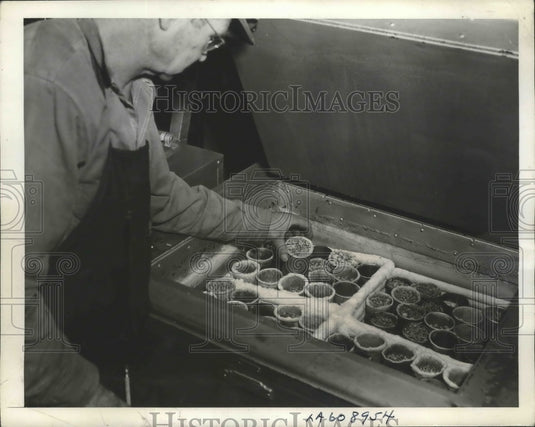 1941 Press Photo Consolidated Aircraft Bombers Latest Riveting Processes - Historic Images