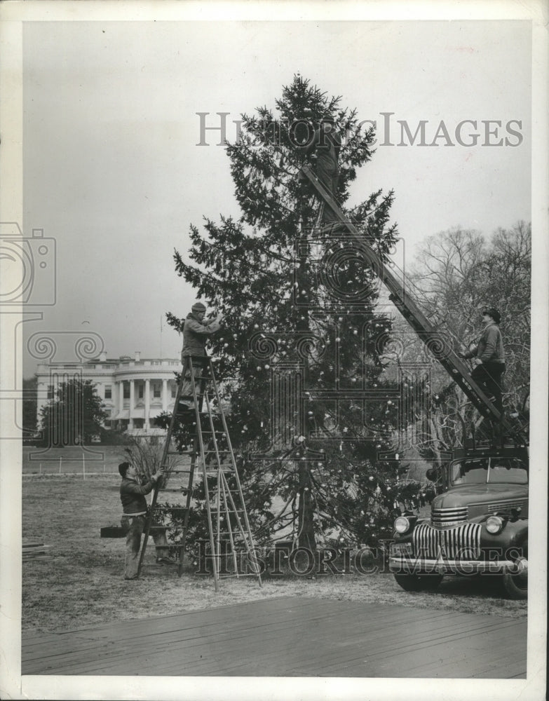 1944 Press Photo Workmen decorating Christmas tree on White House grounds - Historic Images