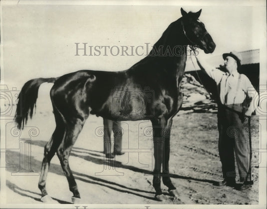 1934 Press Photo British Horse,"Craig Park" Will Compete in Caliente Handicap-Historic Images