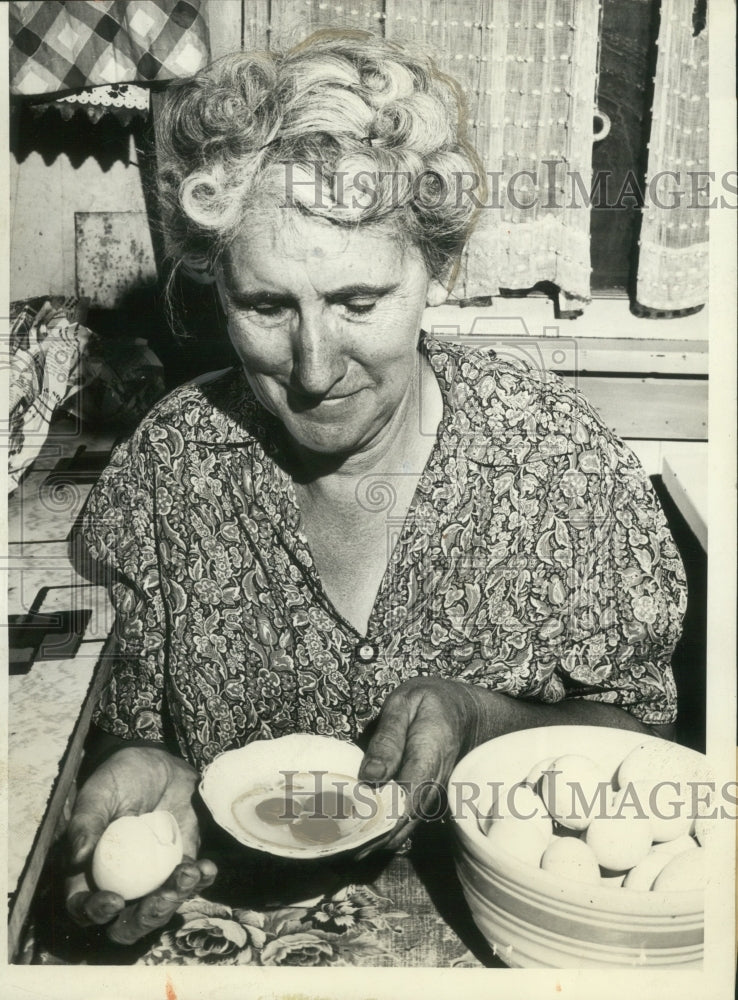 1943 Press Photo Mrs F.E. William&#39;s 5 Month OId Pullets Lay Double Egg Yolks - Historic Images