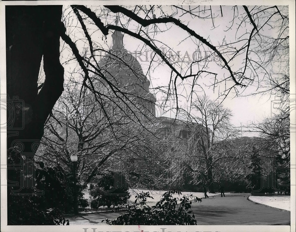 1944 Press Photo Spring Sleet Storm Covers Trees and Ground in Washington, DC - Historic Images