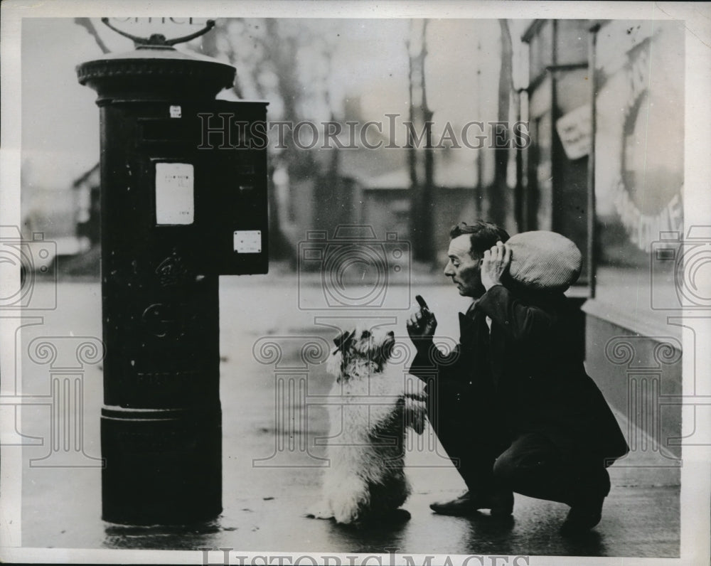 1935 Press Photo Dog Grateful After Owner Renews Its License in Hull, England - Historic Images