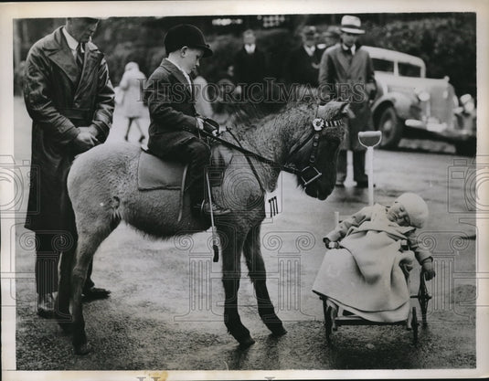 1935 Press Photo Royal Agricultural Show Attendee Slumbers in Path of Competitor - Historic Images