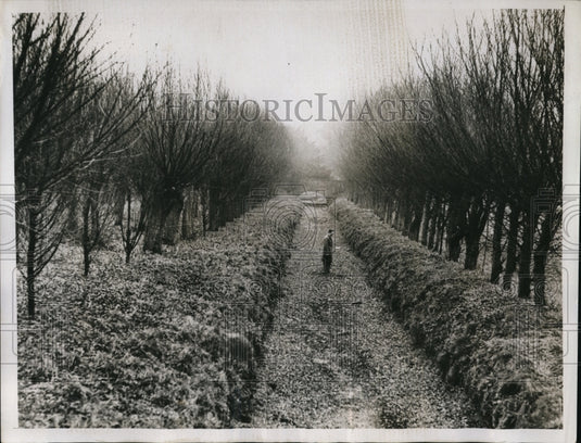 1934 Press Photo View of Dried Up Bed of The River Granta at Bartlow, England - Historic Images