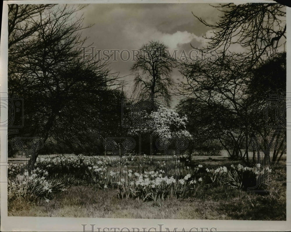 1931 Press Photo Beautiful Springtime Scene in Kew Gardens in London - Historic Images