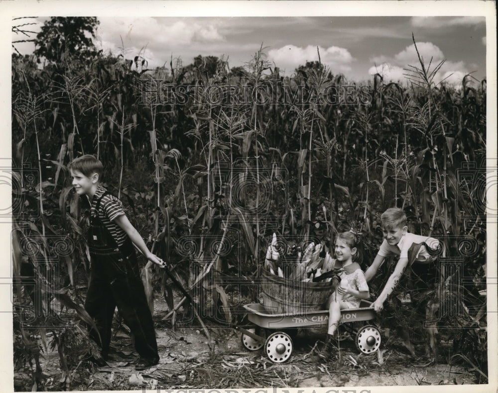 1941 Press Photo Wilbur, Mabel and Frank Fowler having fun on the farm, smiling - Historic Images