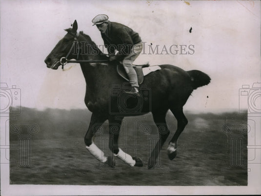 1932 Press Photo "Sea Soldier" to compete in Grand National Steeplechase - Historic Images