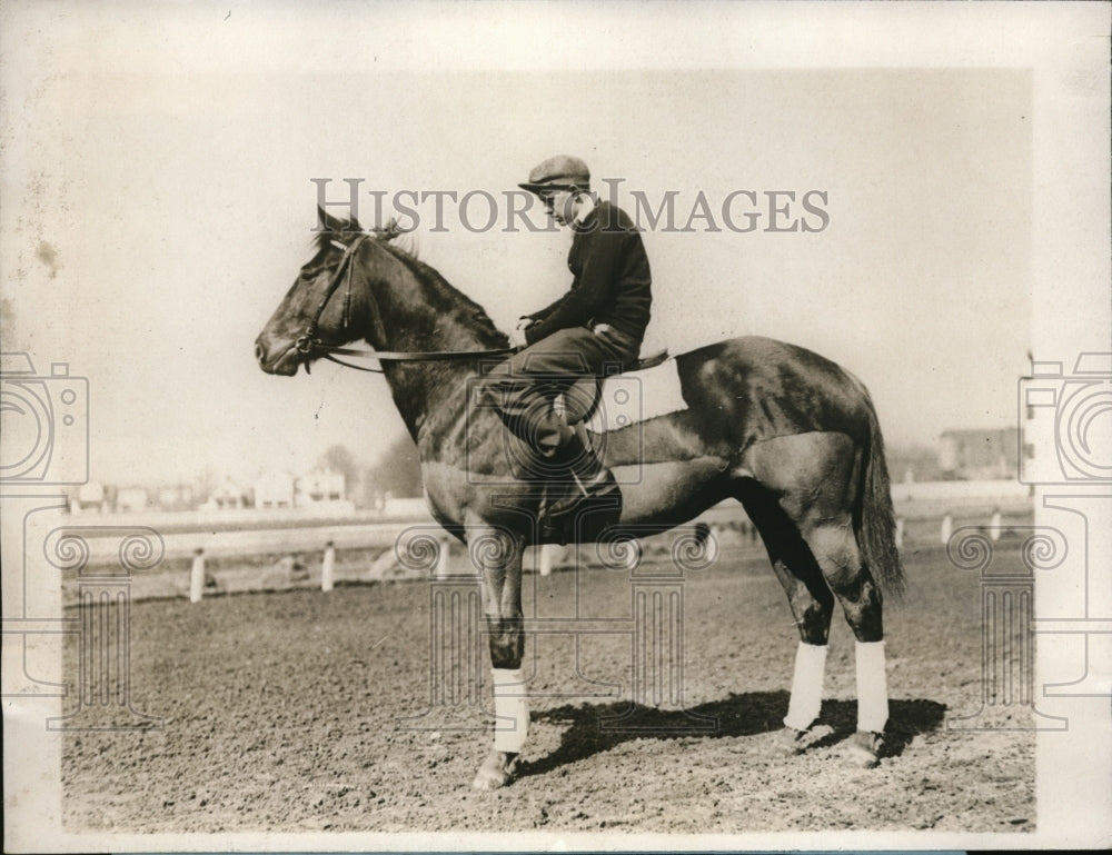 1929 Press Photo Kentucky Derby Candidate, &quot;Irish Pal&quot;, and Jockey Ready to Go - Historic Images