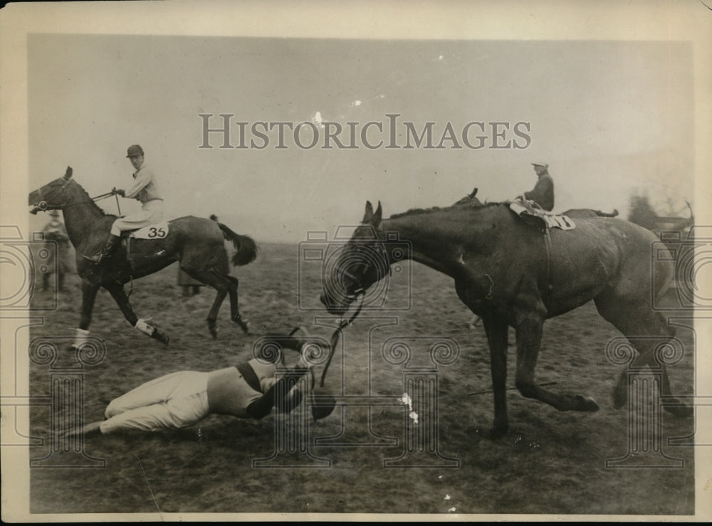 1929 Press Photo Old Hickory Throws Jockey L Rees Emblem Handicap Steeplechase - Historic Images