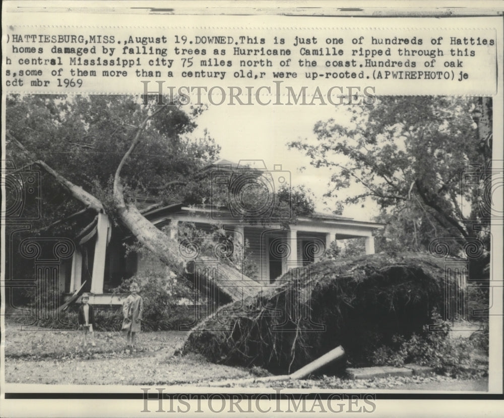 1969 Press Photo Oak Trees Fallen on Hattiesburg Home, Miss., Hurricane Camille - Historic Images