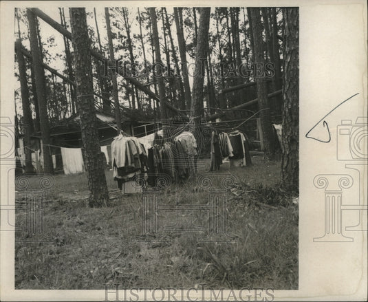 1969 Press Photo Hurricane Camille-Clothes Hanging to dry of the more fortunate - Historic Images