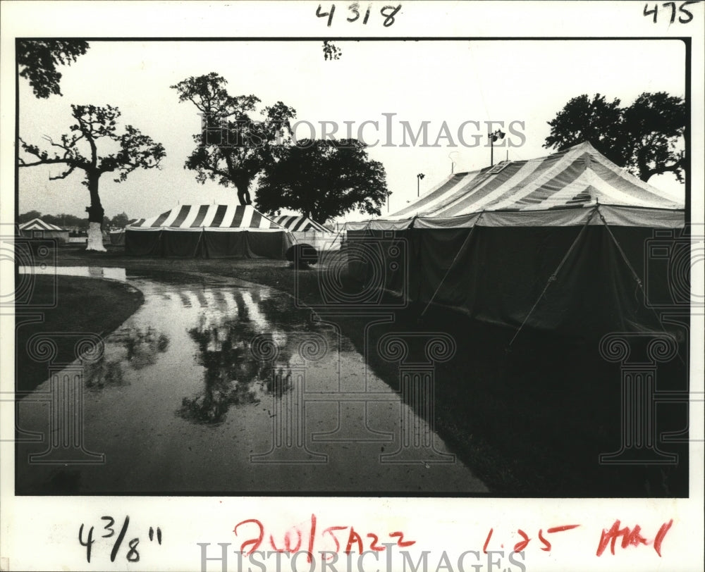 1981 Asphalt Walkways Have Been Laid For Upcoming Jazz Festival - Historic Images