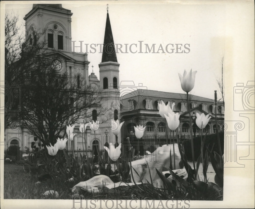 1967 Press Photo Buildings in Jackson Square, New Orleans - noa00591 - Historic Images