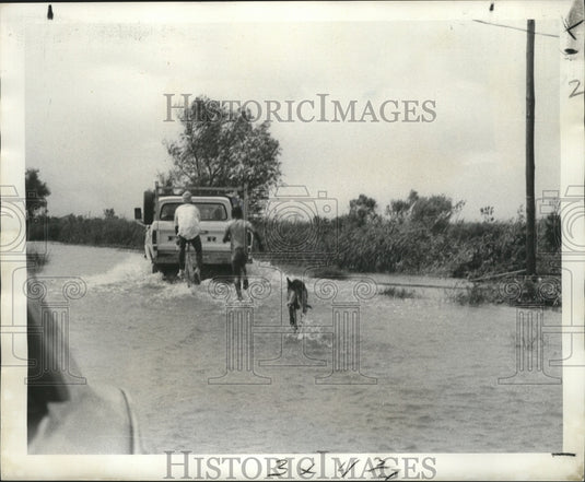 1974 Press Photo Hurricane Carmen - View of flooding on Bayou Barataria. - Historic Images