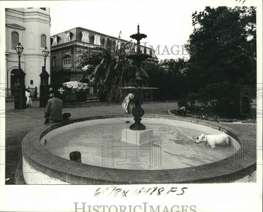 1978 Press Photo New Orleans-Dogs Cool Off in Fountain at Jackson Square, - Historic Images