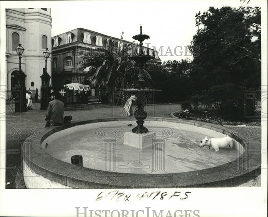 1978 Press Photo New Orleans-Dogs Cool Off in Fountain at Jackson Square, - Historic Images