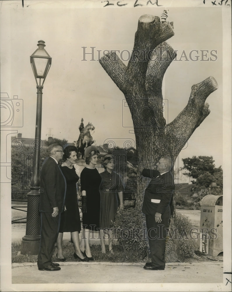 1962 Jackson Square New Orleans Tree Planting Drive To Be Sponsored - Historic Images