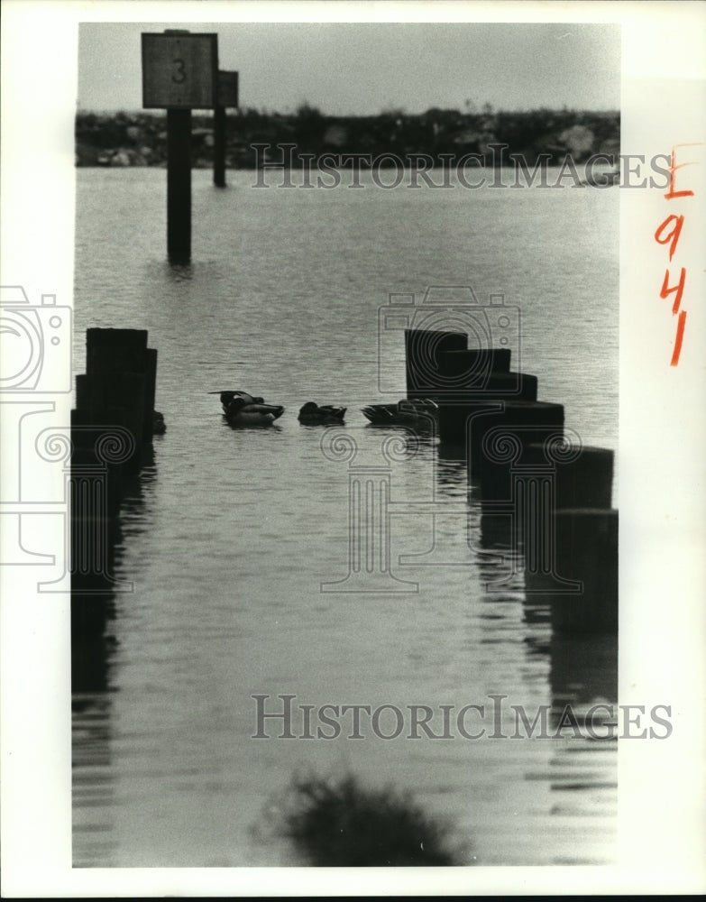 1988 Hurricane Gilbert - Pier at Bonnabel boat launch in Metairie. - Historic Images