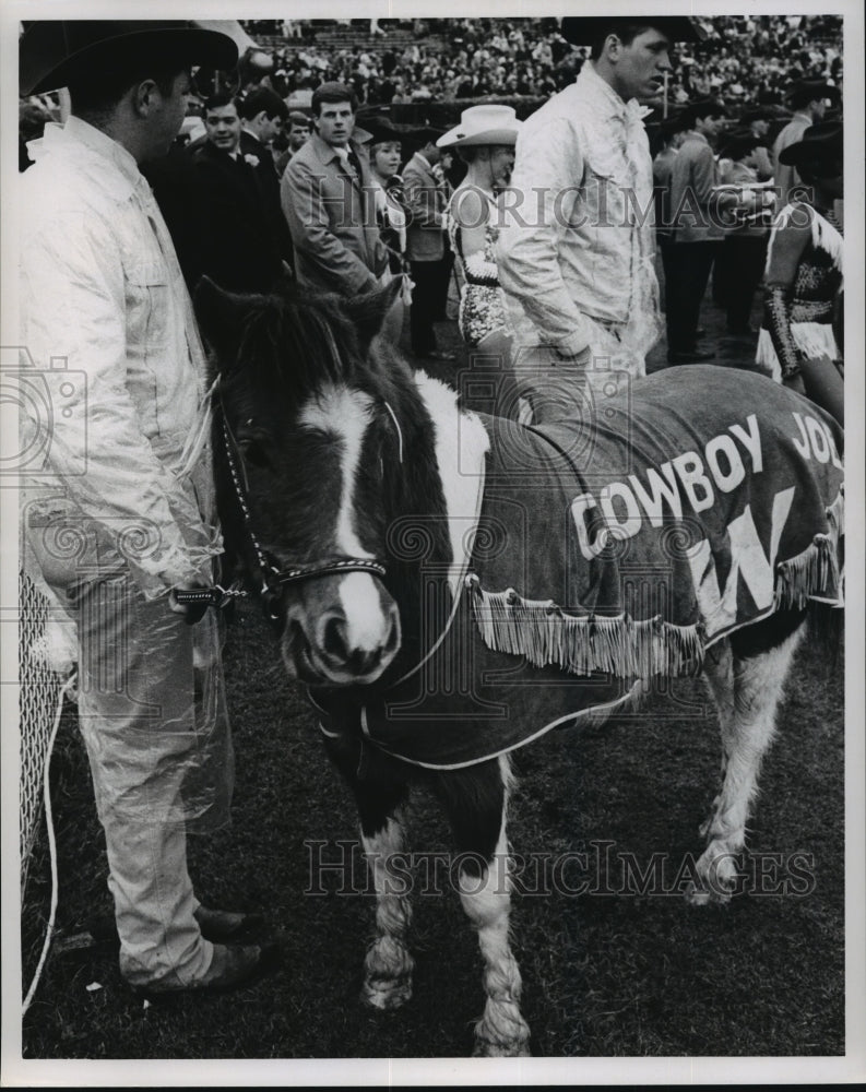 1968 Press Photo Sugar Bowl - Mascot Cowboy Joe at Wyoming-LSU Game - noa01890 - Historic Images