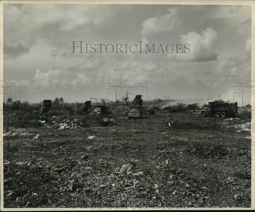 1965 Hurricane Betsy - View of the Audubon Park Dump in New Orleans. - Historic Images