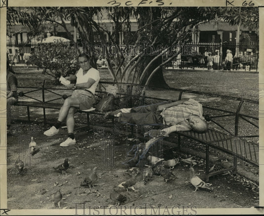 1972 Press Photo Jackson Square - A man sleeps on a bench in the park. - Historic Images