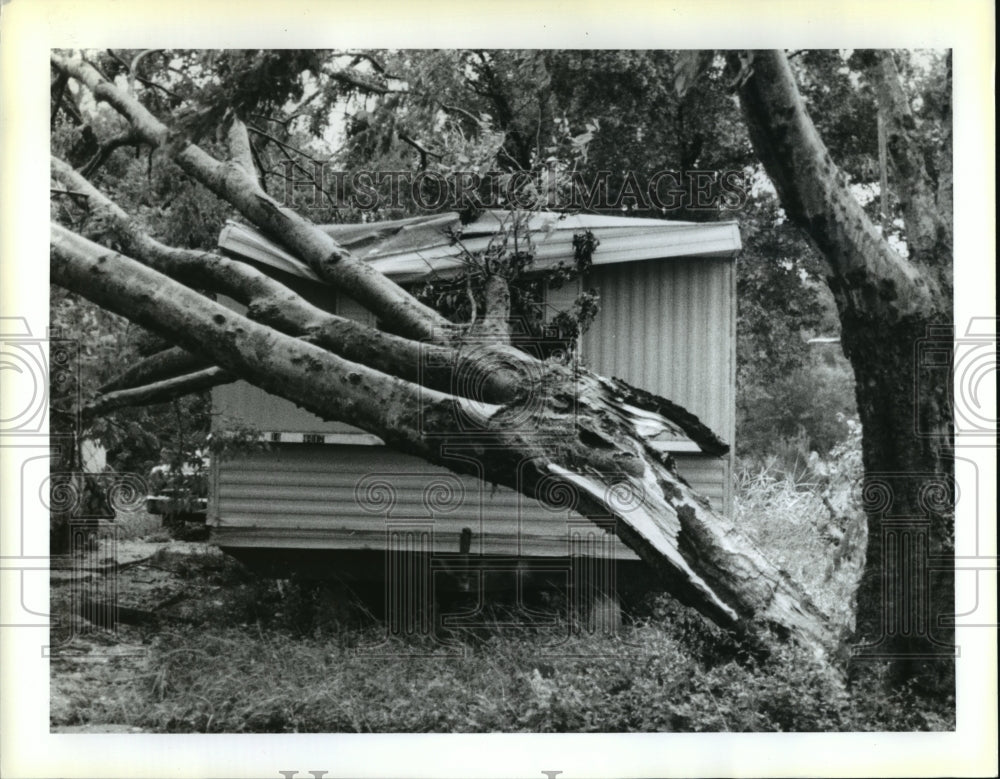 1992 Hurricane Andrew-East New Orleans tree dents a house trailer. - Historic Images