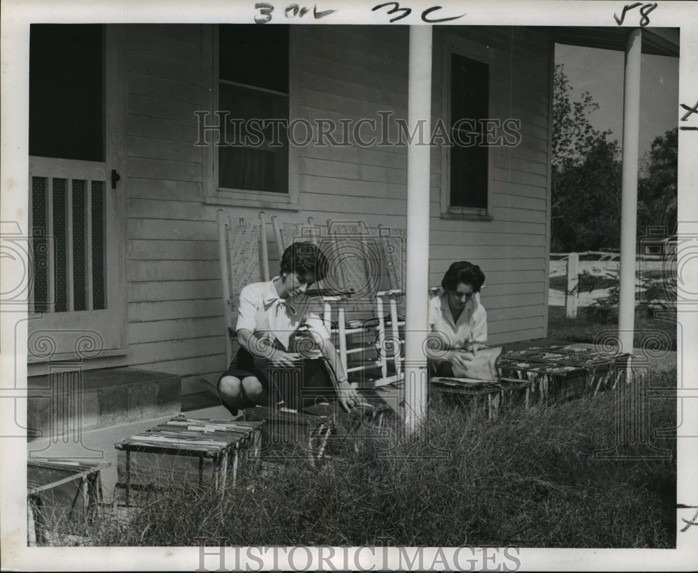 1965 Hurricane Betsy - Mrs. Coludrovich &amp; Mickelborough Dry Records - Historic Images