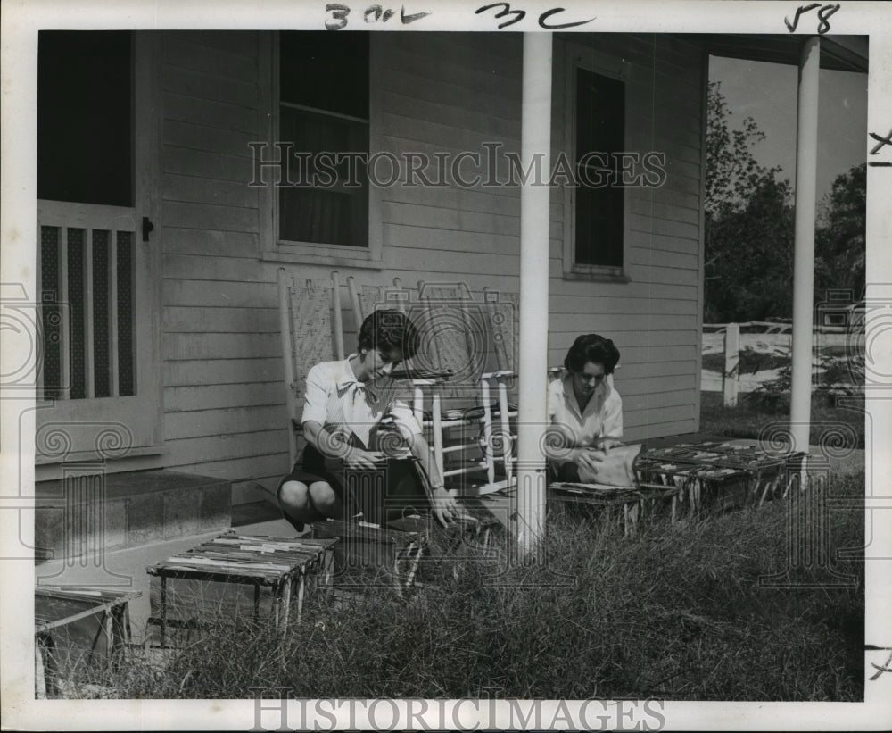 1965 Hurricane Betsy - Mrs. Coludrovich & Mickelborough Dry Records - Historic Images