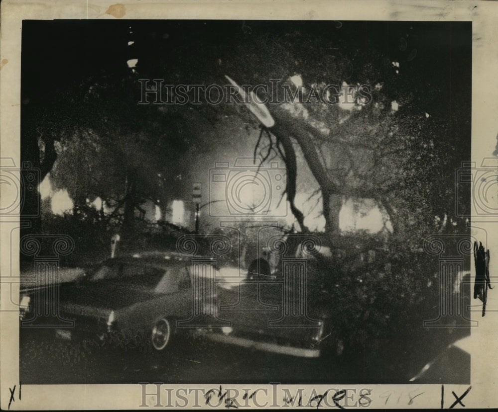 1965 Tree Limb Fallen on Truck After Hurricane Betsy - Historic Images