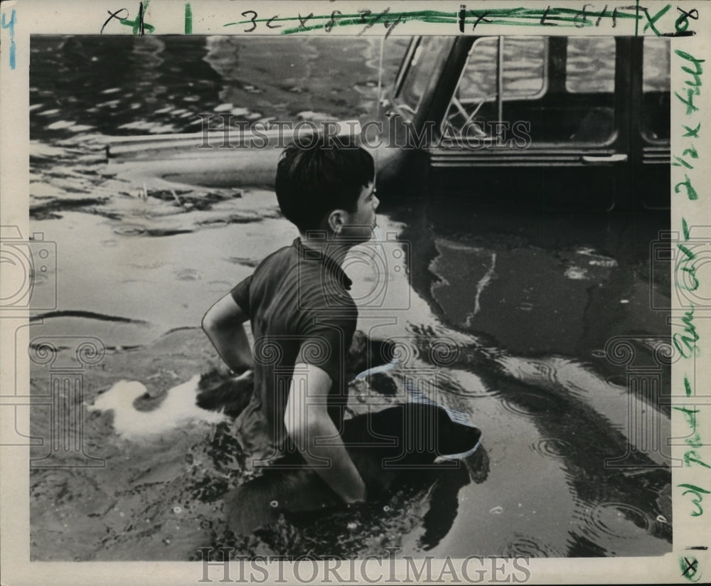 1965 Hurricane Betsy - Boy Rescues Dogs in Flooded New Orleans - Historic Images