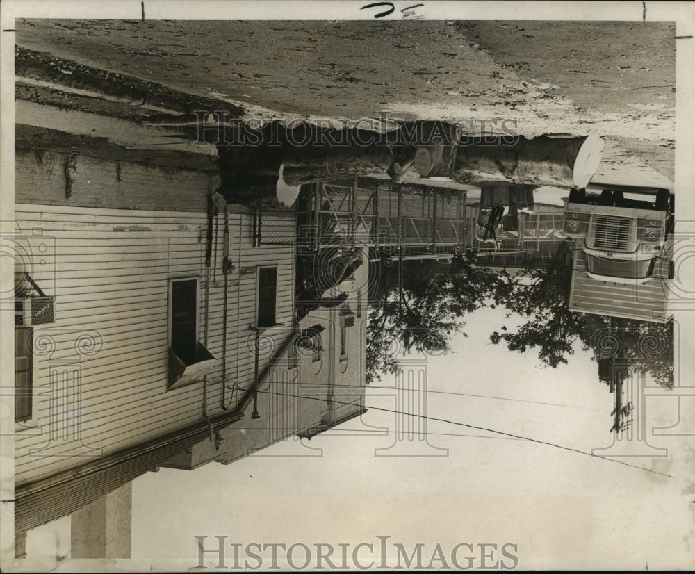 1969 Press Photo Hurricane Camille - Downed trees and damage in Algiers, LA. - Historic Images