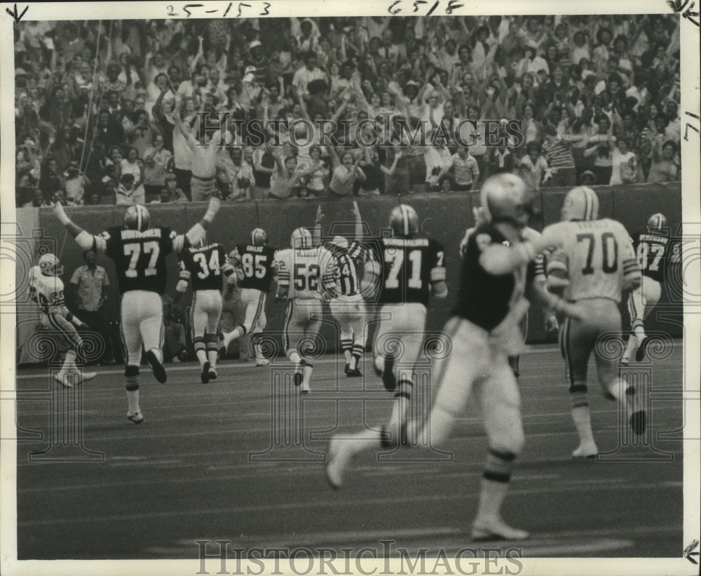 1977 Press Photo New Orleans Saints&#39; Fans Cheer as Childs Scores During Game - Historic Images