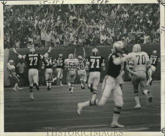 1977 Press Photo New Orleans Saints' Fans Cheer as Childs Scores During Game - Historic Images