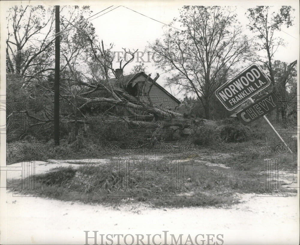 1964 Hurricane Hilda- Damage in Franklin La. - Historic Images