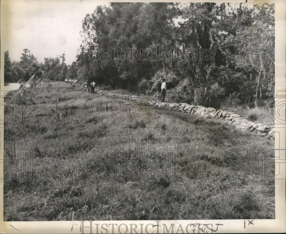 1961 New Orleans Flood-Parish workers sandbag wall at Bayou Segnette - Historic Images