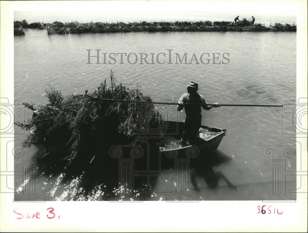 1991 Louisiana Wetlands- A volunteer ferries Christmas trees. - Historic Images