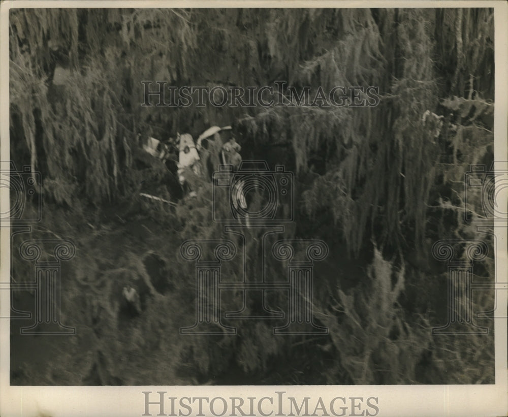 1960 Swampland- View of crashed plane in swampland. - Historic Images