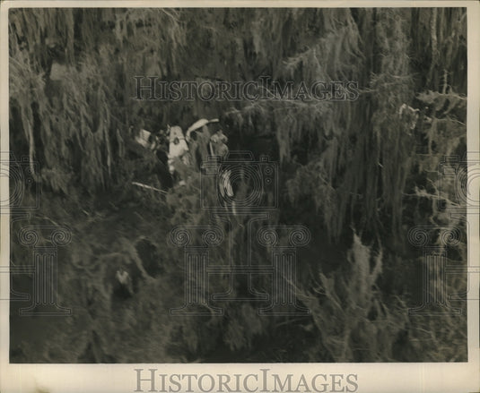 1960 Swampland- View of crashed plane in swampland. - Historic Images