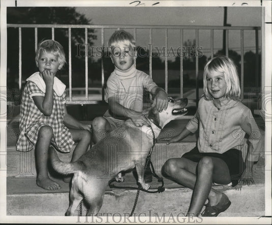 1969 Hurricane Laurie - Refugees Lisa, Bubber & Lorunda Fisher & Dog - Historic Images