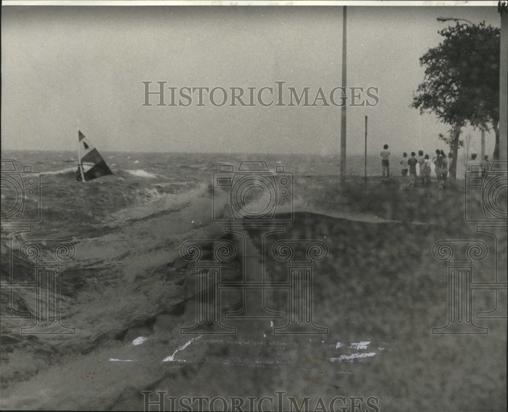 1979 Press Photo Hurricane Frederic - Wind Surfer on Lake Pontchartrain - Historic Images