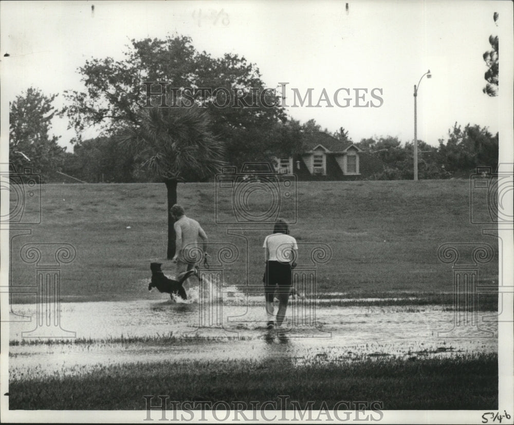 1977 Press Photo Hurricane Babe- Dog enjoying playing in waters from hurricane. - Historic Images